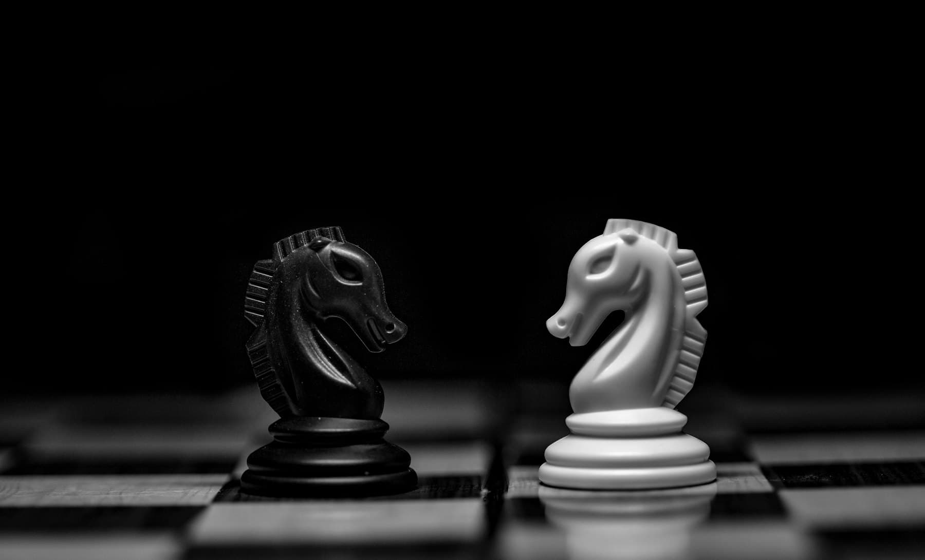 Deux cavaliers d'échecs face à face